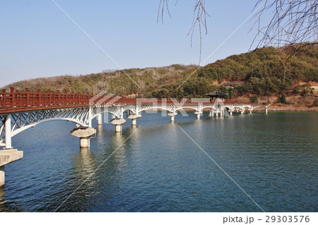 安東の月映橋 安東の月映橋 29303576