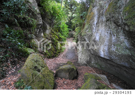 3月　鎌倉105鎌倉七口・大仏切通火の見下 29304193