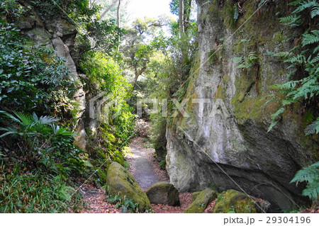 3月 鎌倉108鎌倉七口・大仏切通火の見下 3月 鎌倉108鎌倉七口・大仏切通火の見下 29304196