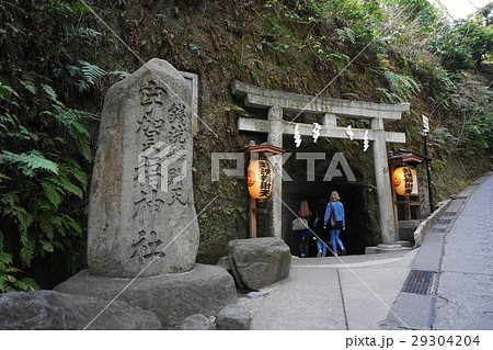 3月　鎌倉116銭洗弁財天・宇賀福神社 29304204