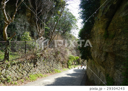 3月　鎌倉69鎌倉七口・亀ヶ谷坂切通 29304243