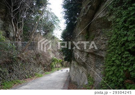 3月 鎌倉71鎌倉七口・亀ヶ谷坂切通 3月 鎌倉71鎌倉七口・亀ヶ谷坂切通 29304245