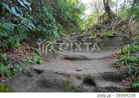 3月　鎌倉82鎌倉七口・化粧坂切通し 29304256