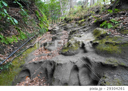 3月　鎌倉87鎌倉七口・化粧坂切通し 29304261