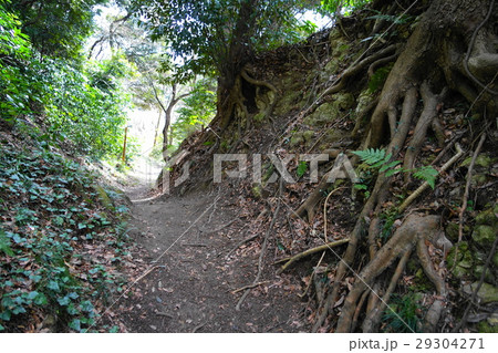 3月 鎌倉97鎌倉七口・大仏切通し 3月 鎌倉97鎌倉七口・大仏切通し 29304271