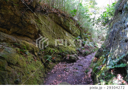 3月　鎌倉98鎌倉七口・大仏切通火の見下 29304272