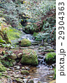 渓谷 29304363