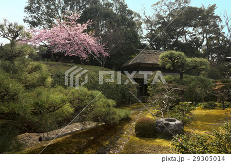 古刹早春点景 29305014