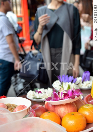 植物 工場 プランツ 29305192