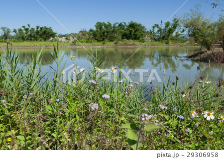 景色 風景 絵 29306958