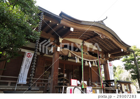 鳩森八幡神社 鳩森八幡神社 29307283