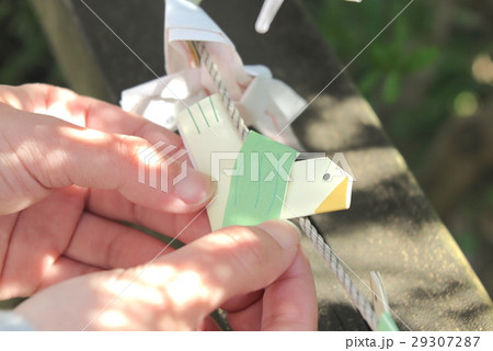 鳩みくじ　鳩森八幡神社 29307287