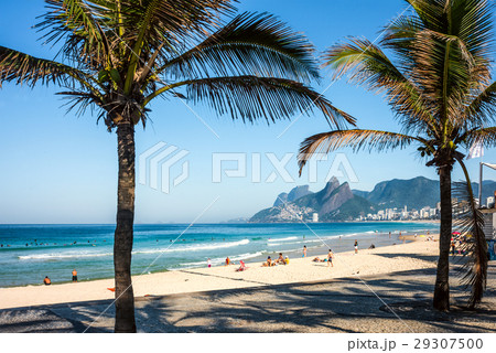 Ipanema Beach and front street with palms  29307500