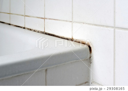 Mould in a bathroom 29308165