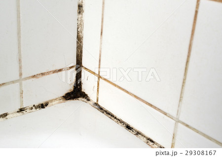 Mould in a bathroom 29308167