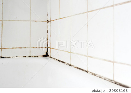 Mould in a bathroom 29308168