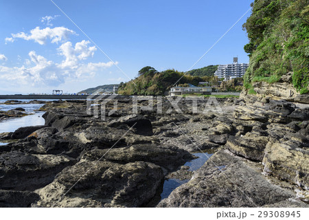 岩場 タイドプール 潮だまり 岩場 タイドプール 潮だまり 29308945