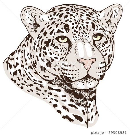 Leopard Face Tattoo Vector Illustration Printのイラスト素材