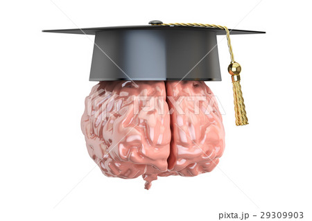 Education and graduation concept, 3D rendering Education and graduation concept, 3D rendering 29309903