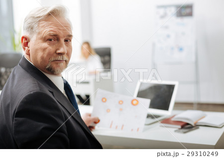 Pleasant aged executive working in the office 29310249