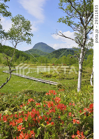 志賀高原 田ノ原湿原 志賀高原 田ノ原湿原 29311635