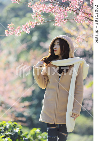 beautiful young woman with blooming cherry blossoms sakura flowers 29312062