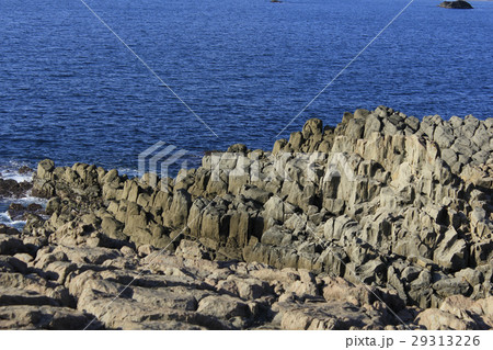 東尋坊 東尋坊 29313226