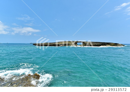 ハワイの休日 29313572