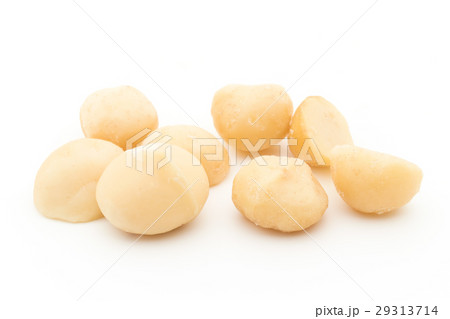 マカダミアナッツ: Macadamia nuts 29313714