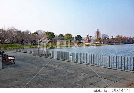 早春の浮間公園（東京都板橋区） 29314475