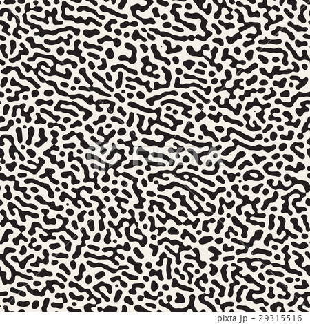 Vector Seamless Grunge Pattern. Black and White 29315516