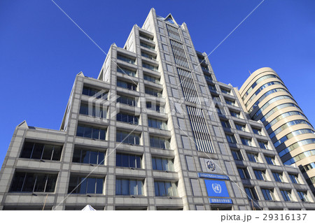 国際連合大学 国際連合大学 29316137