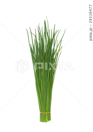 ハーブ　チャイブ 29316477