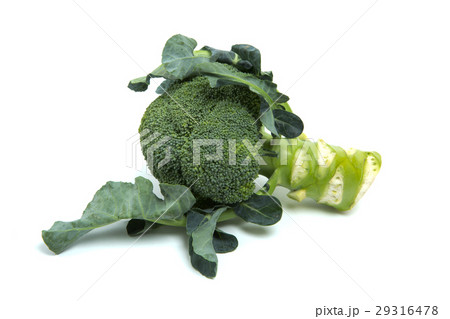 ブロッコリー 29316478