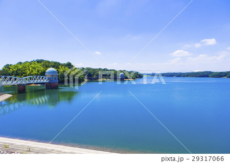 多摩湖 29317066