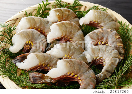 ブラックタイガー エビ ブラックタイガー エビ 29317266