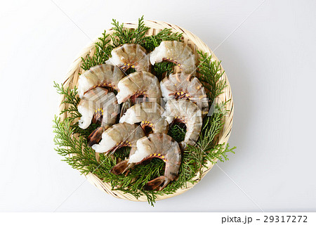 ブラックタイガー エビ ブラックタイガー エビ 29317272