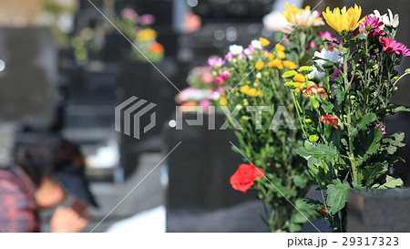 お墓参り お彼岸の供え物の菊の花 お墓参り お彼岸の供え物の菊の花 29317323