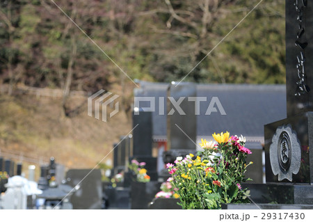 お墓参り お彼岸の供え物の菊の花 お墓参り お彼岸の供え物の菊の花 29317430
