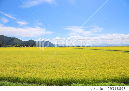 田園風景 田園風景 29318843