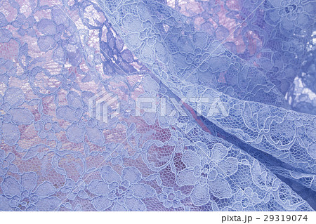 レース生地8 29319074