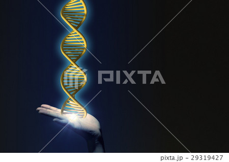 人間の手と遺伝子工学 29319427