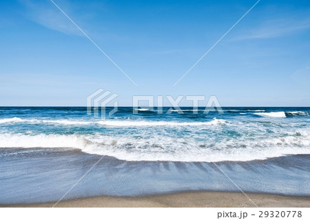海 海 29320778