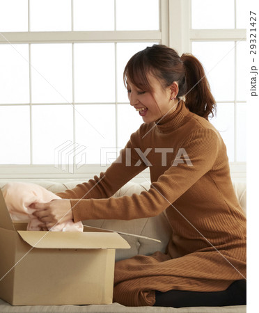 ネットオークションを楽しむ女性 29321427