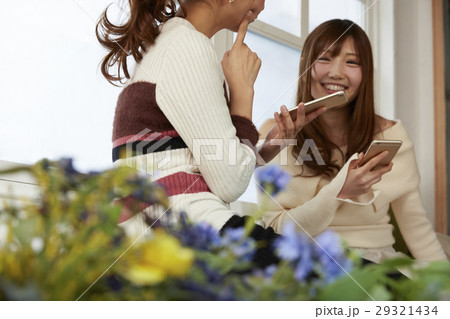 ネットオークションを楽しむ女性たち ネットオークションを楽しむ女性たち 29321434