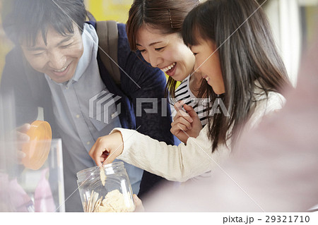 サービスエリア　家族 29321710