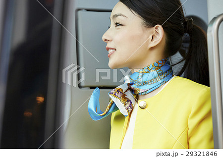 バスガイド 29321846