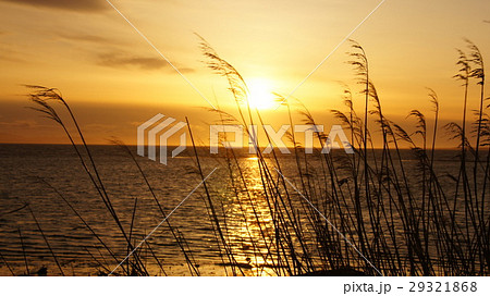 サロマ湖の夕景 29321868