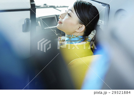 バスガイド 29321884