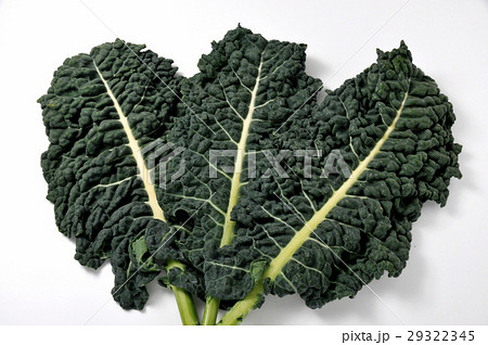 ケール ケール 29322345